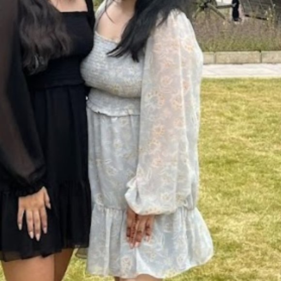 Dynamite Smocked Mini Dress - Aritzia Temptest Dress Dupe - Picture 3 of 3